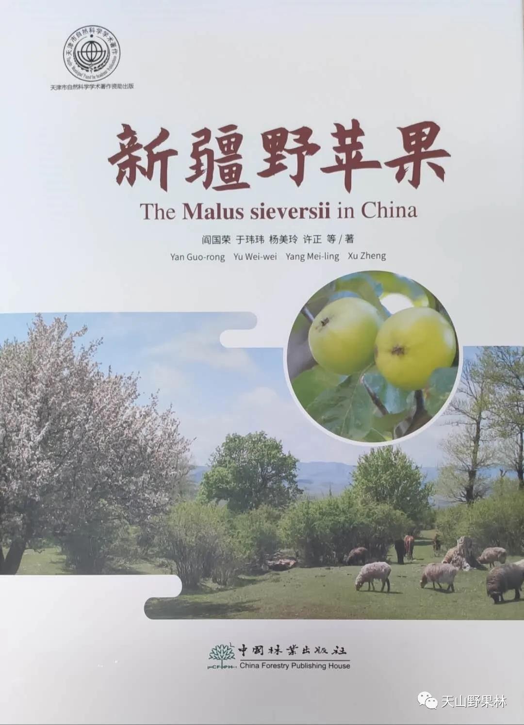 著作