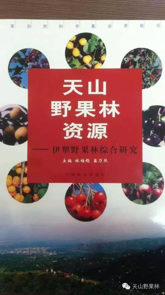 著作